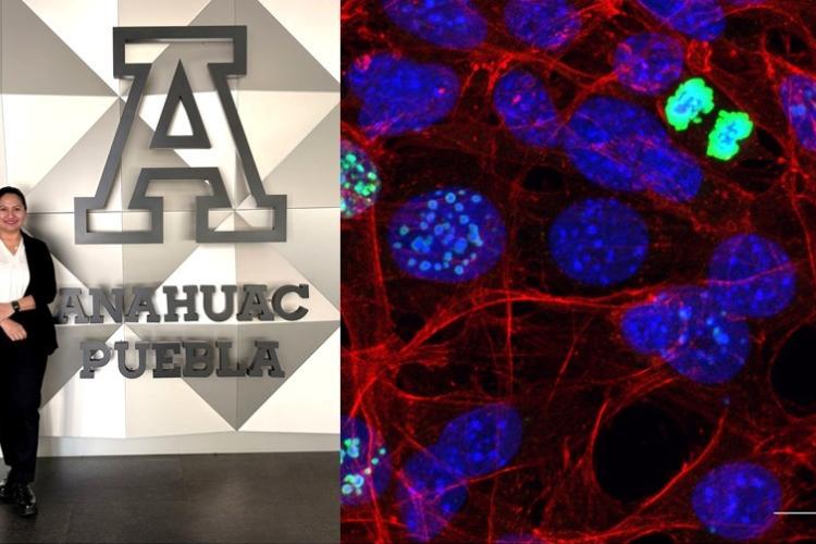 INVESTIGACIÓN-CONCURSO-ESPAÑA