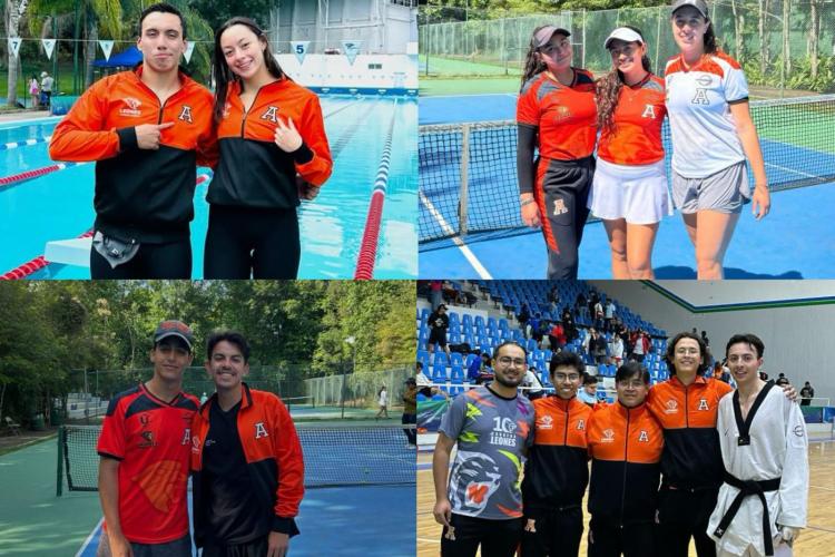 Leones-Anáhuac