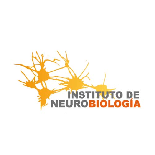 Unidad de Investigación en Neurodesarrollo (UNAM)