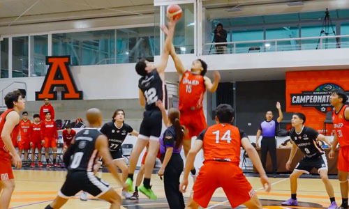 Basketball