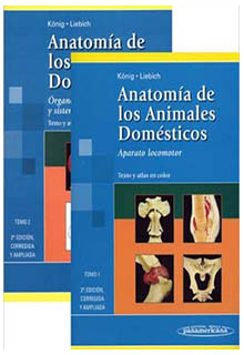 Anatomía de los animales domésticos : texto y atlas en color. Tomo 1. Aparato locomotor. dirigido por Horst Erich König - SF761 .A5318 2015