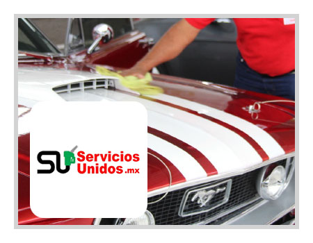 Servicios Unidos MX
