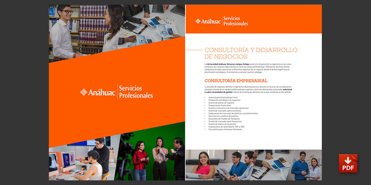 Folleto de Consultoría y Desarrollo de Negocios