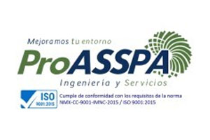 Pro ASSPA, Ingeniería y Servicios