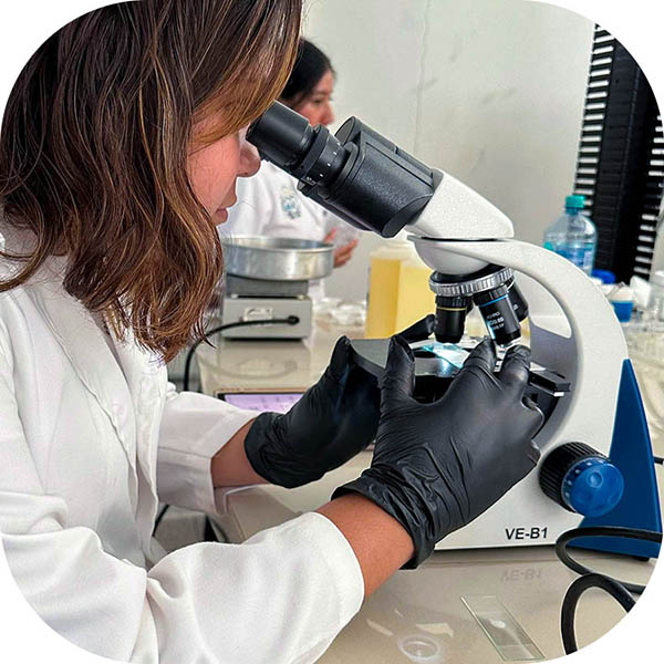 Ivana Natalia Aranda Paredes