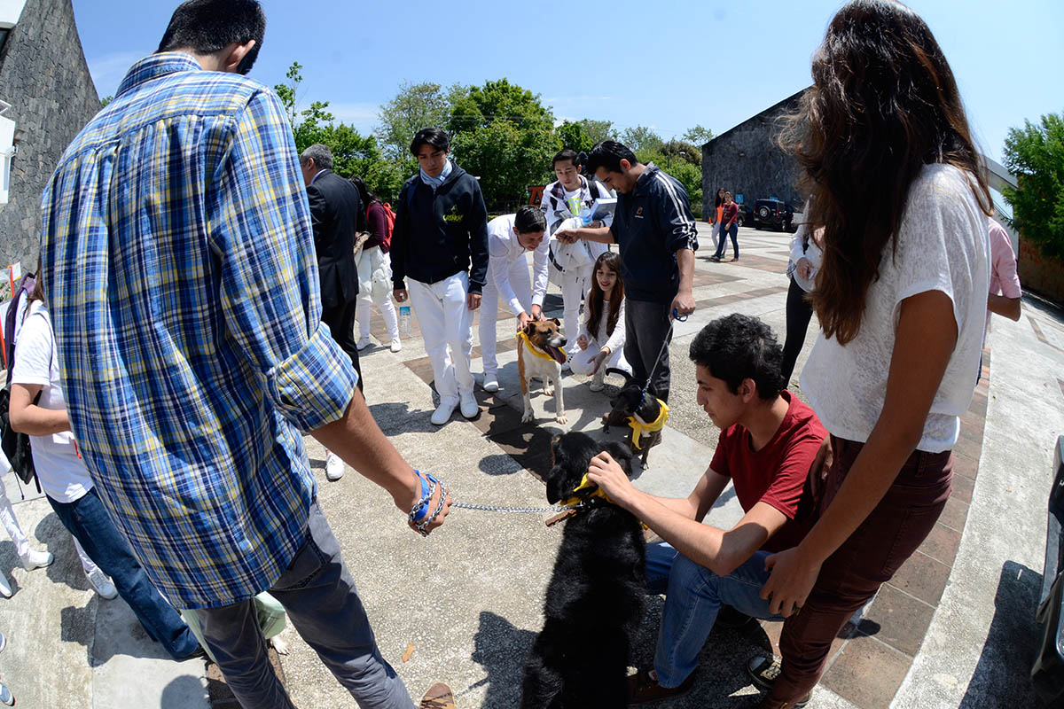 11 / 14 - Comunidad Anáhuac