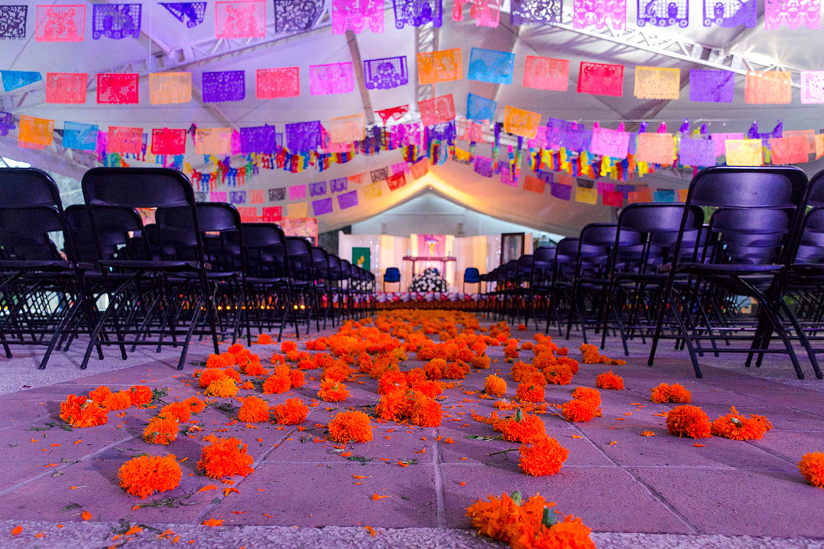 13 / 28 - Tradición y Recuerdos en la Celebración de Día de Muertos