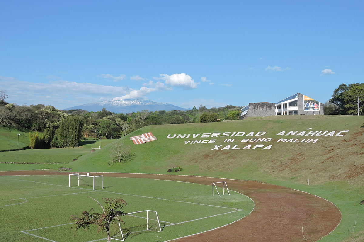 3 / 3 - Cofre de Perote nevado visto desde el Campus Universitario - Enero 2015