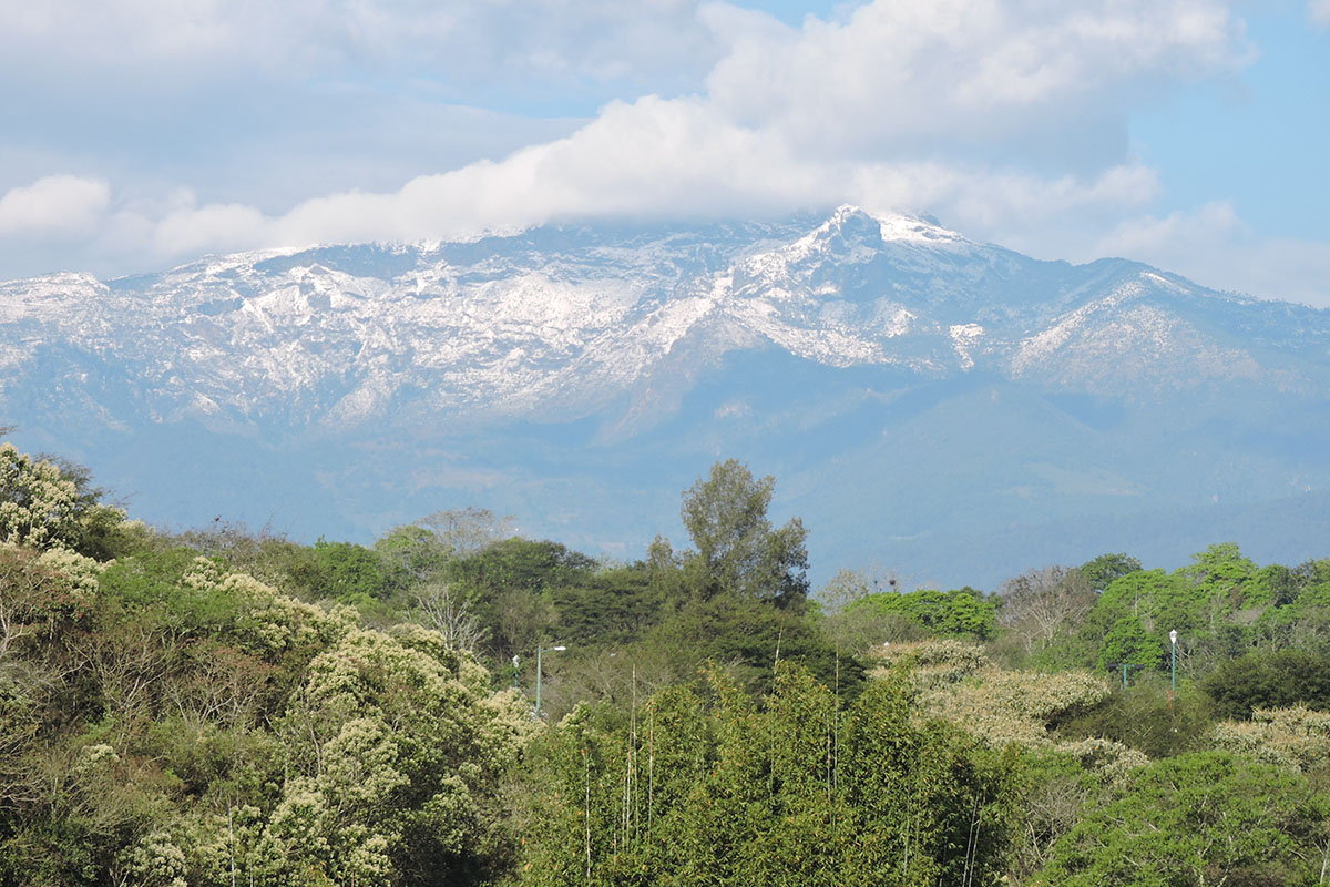 1 / 3 - Cofre de Perote nevado visto desde el Campus Universitario - Enero 2015