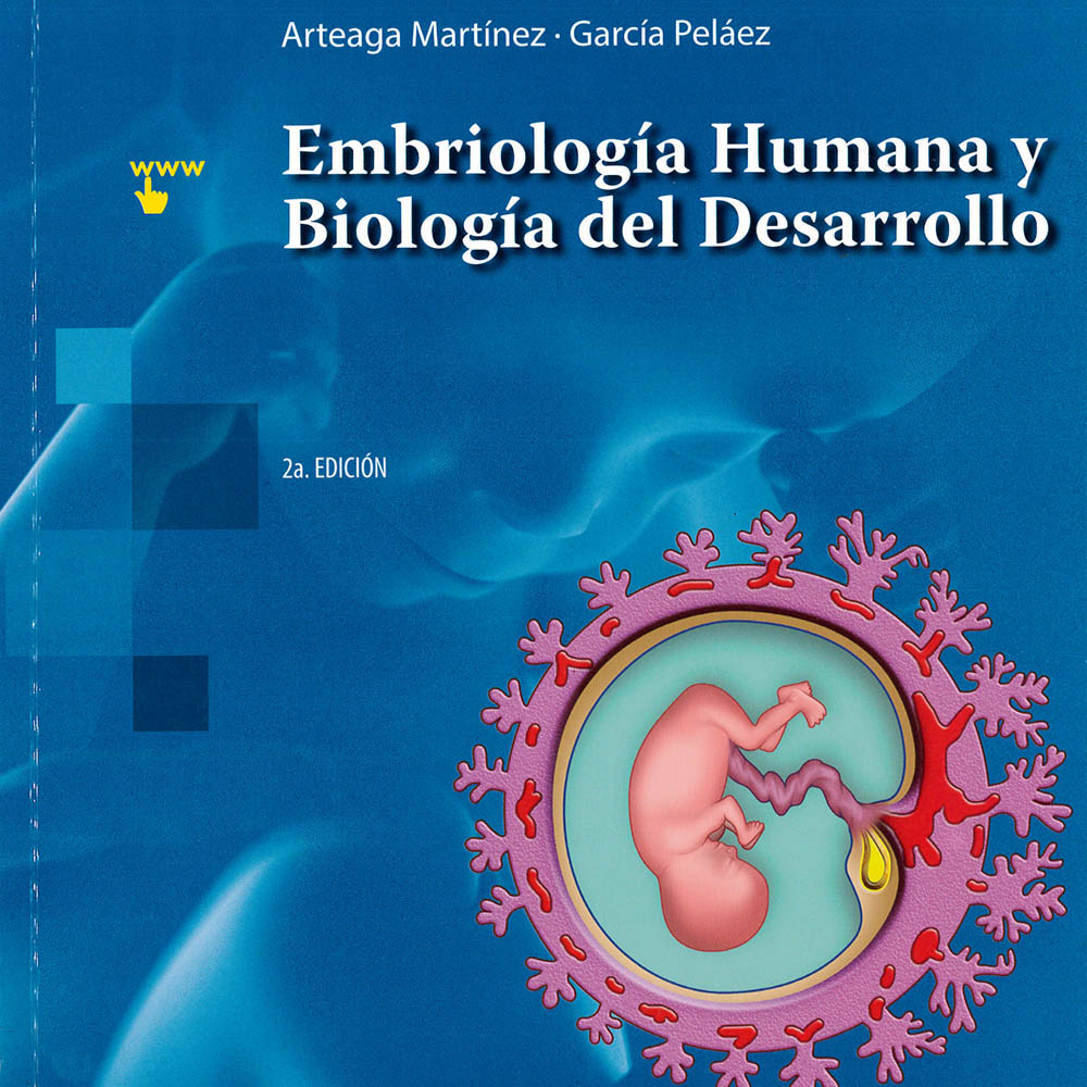 13 / 14 - QM602 A78 2017 Embriología Humana y Biología del Desarrollo
Sebastián Arteaga Martínez y Manuel García Peláez - Editorial Médica Panamericana, México 2017