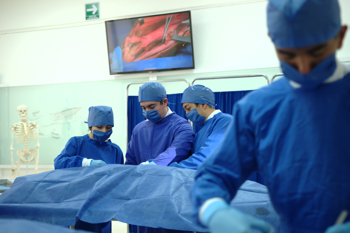 1 / 13 - Centro de Estudios y Tecnología Aplicada a las Ciencias de la Salud