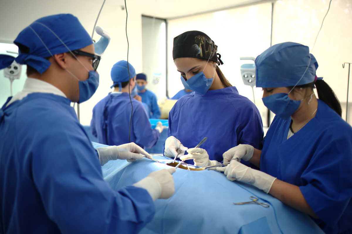 10 / 13 - Centro de Estudios y Tecnología Aplicada a las Ciencias de la Salud