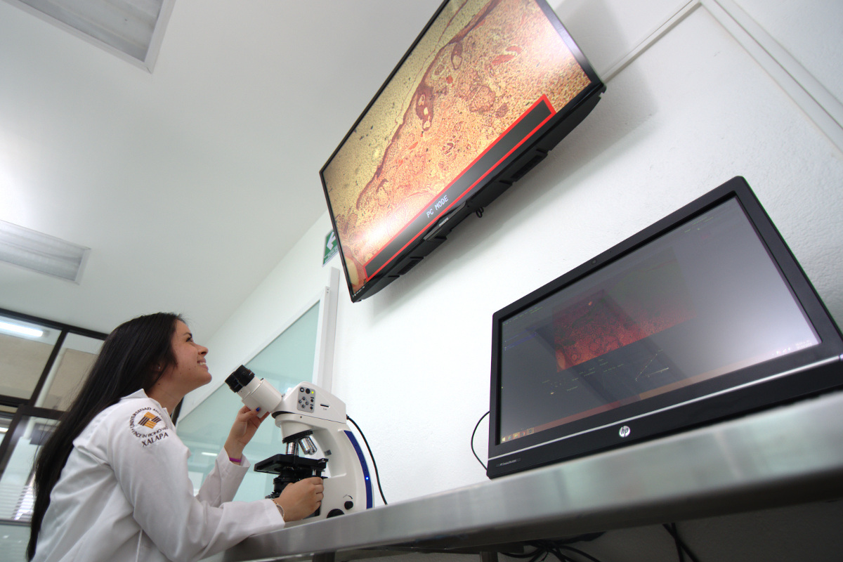 5 / 13 - Centro de Estudios y Tecnología Aplicada a las Ciencias de la Salud