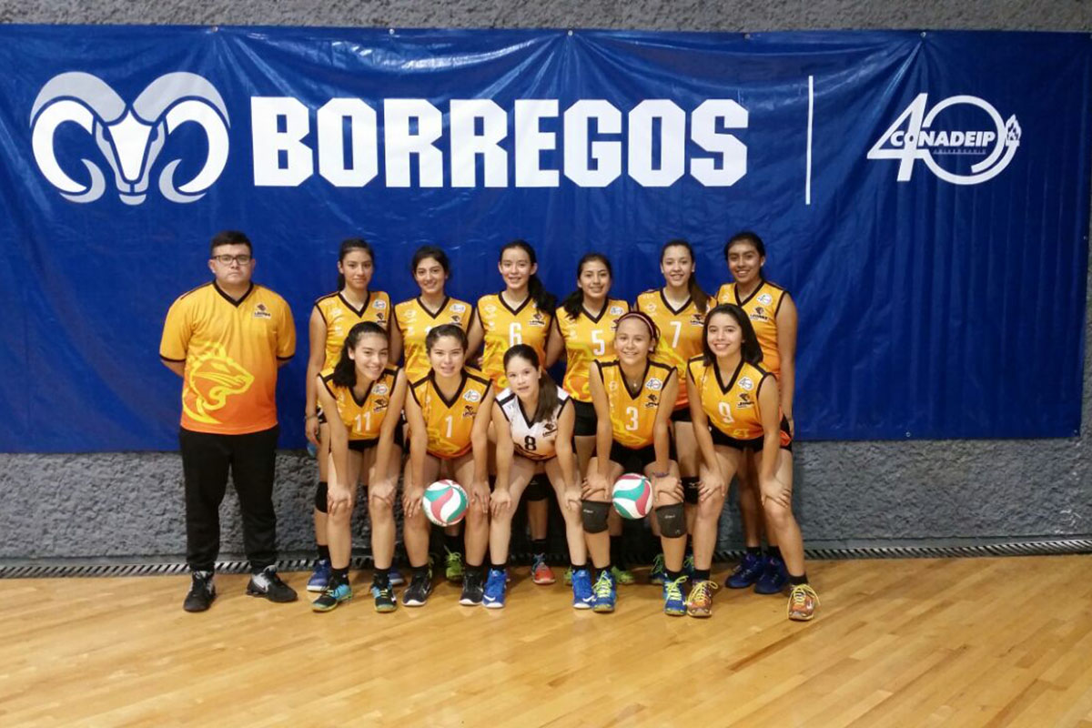 3 / 8 - Segundo Lugar Nacional Voleibol de Sala