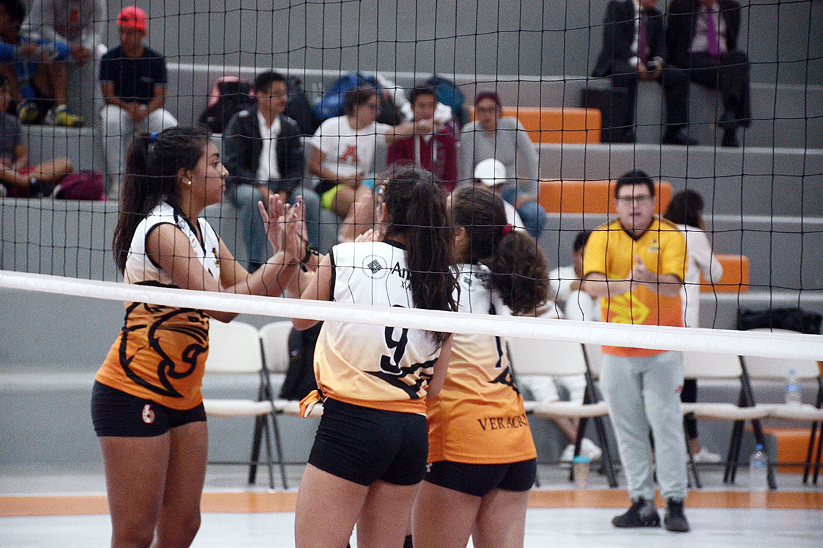 2 / 4 - Inicia la actividad en Voleibol Anáhuac