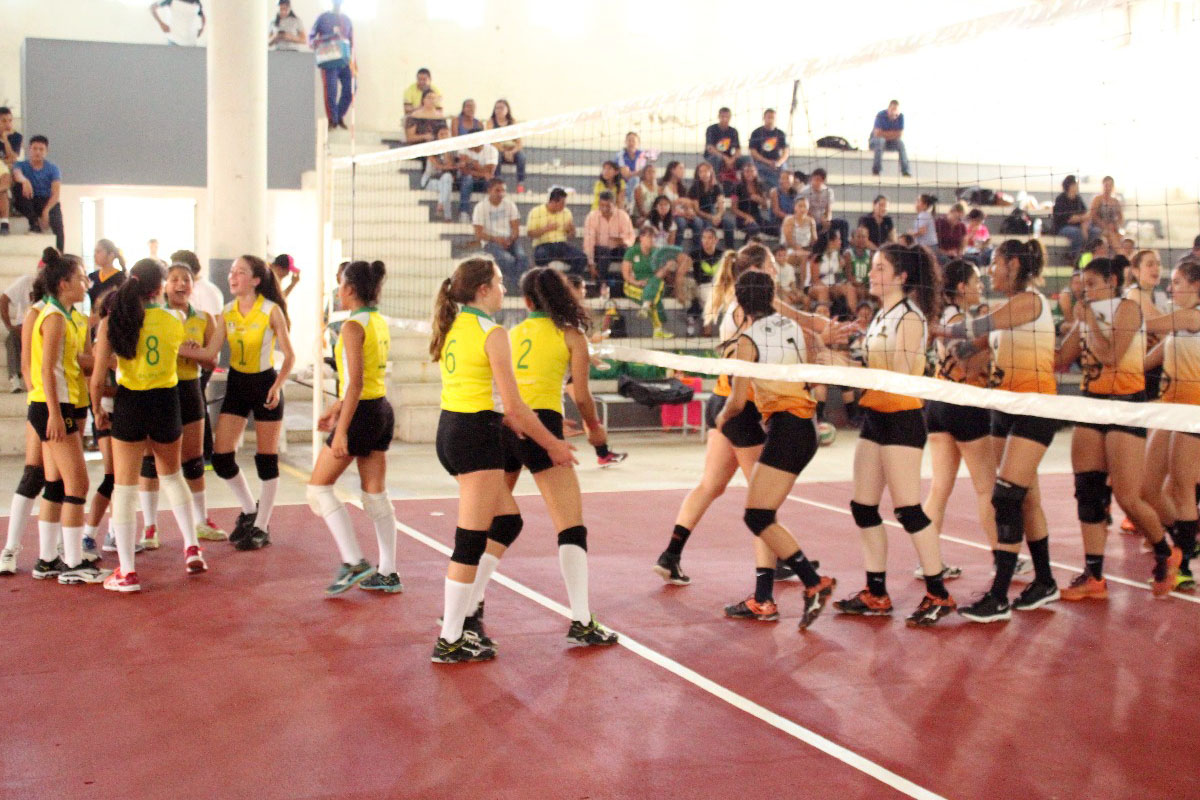 1 / 8 - Leonas Campeonas de Torneo del Club Rotario