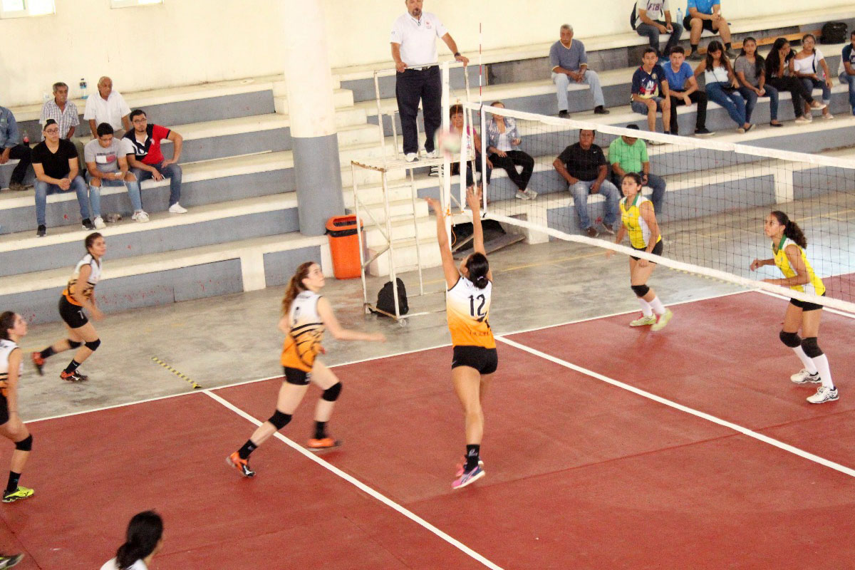 3 / 8 - Leonas Campeonas de Torneo del Club Rotario