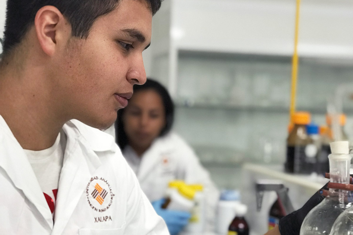 7 / 8 - Prácticas en el Laboratorio de Química