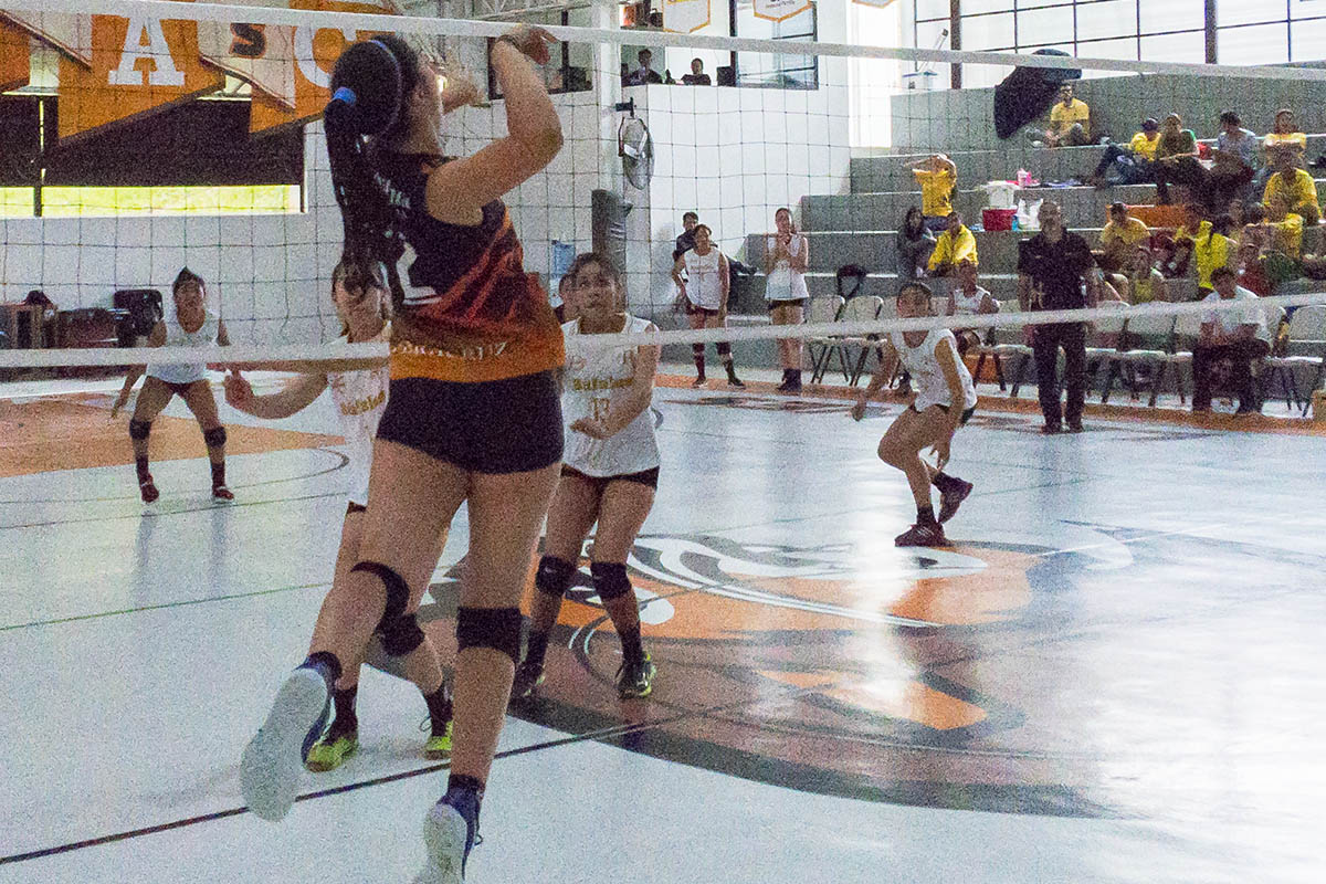 4 / 4 - Voleibol Femenil Anáhuac Xalapa va al Nacional
