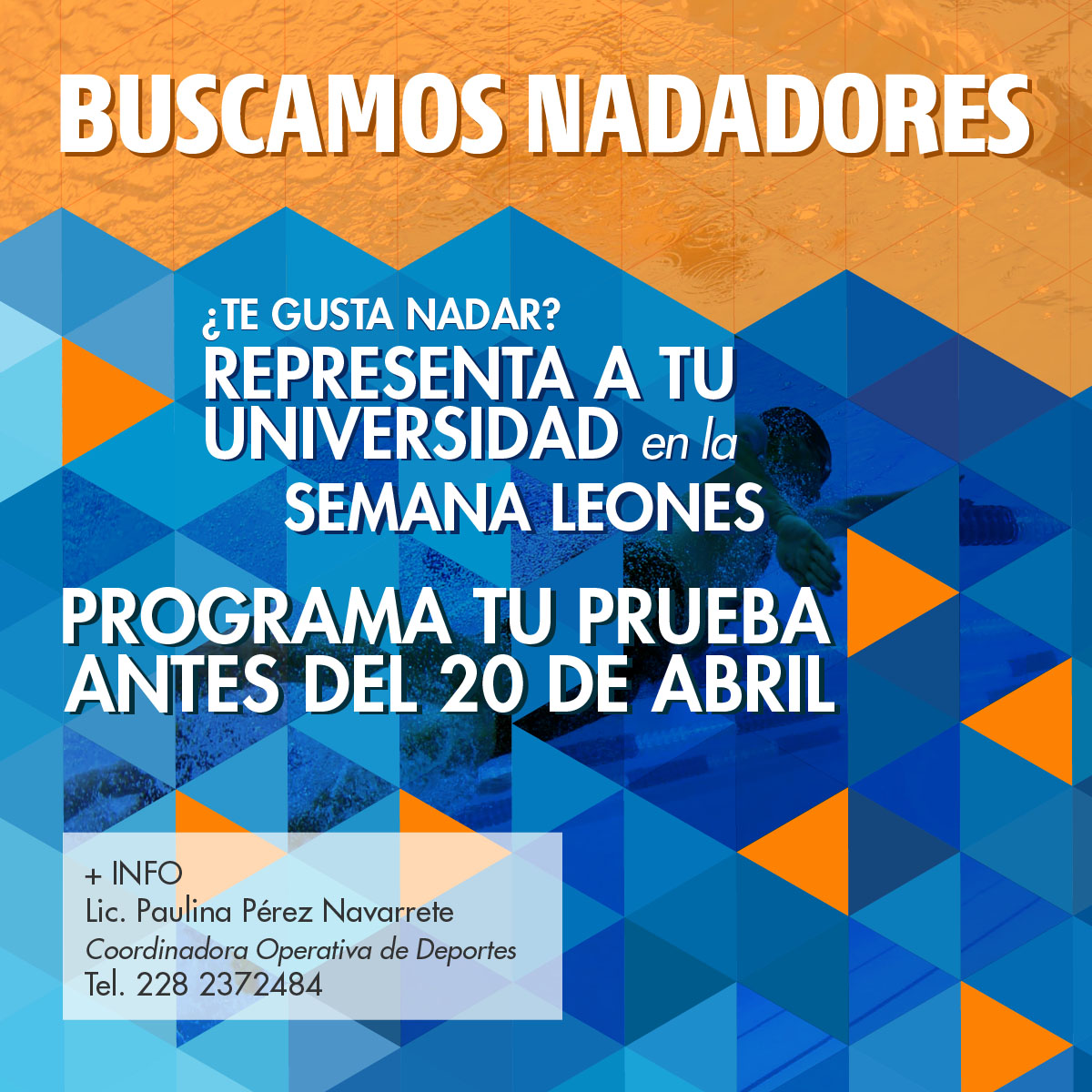 Buscamos Nadadores