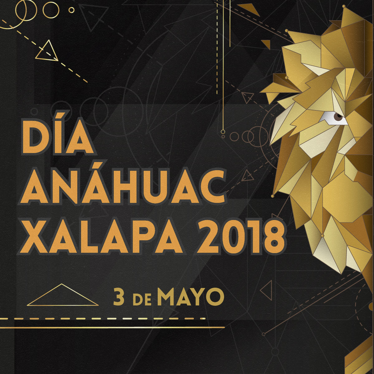 Día Anáhuac Xalapa 2018