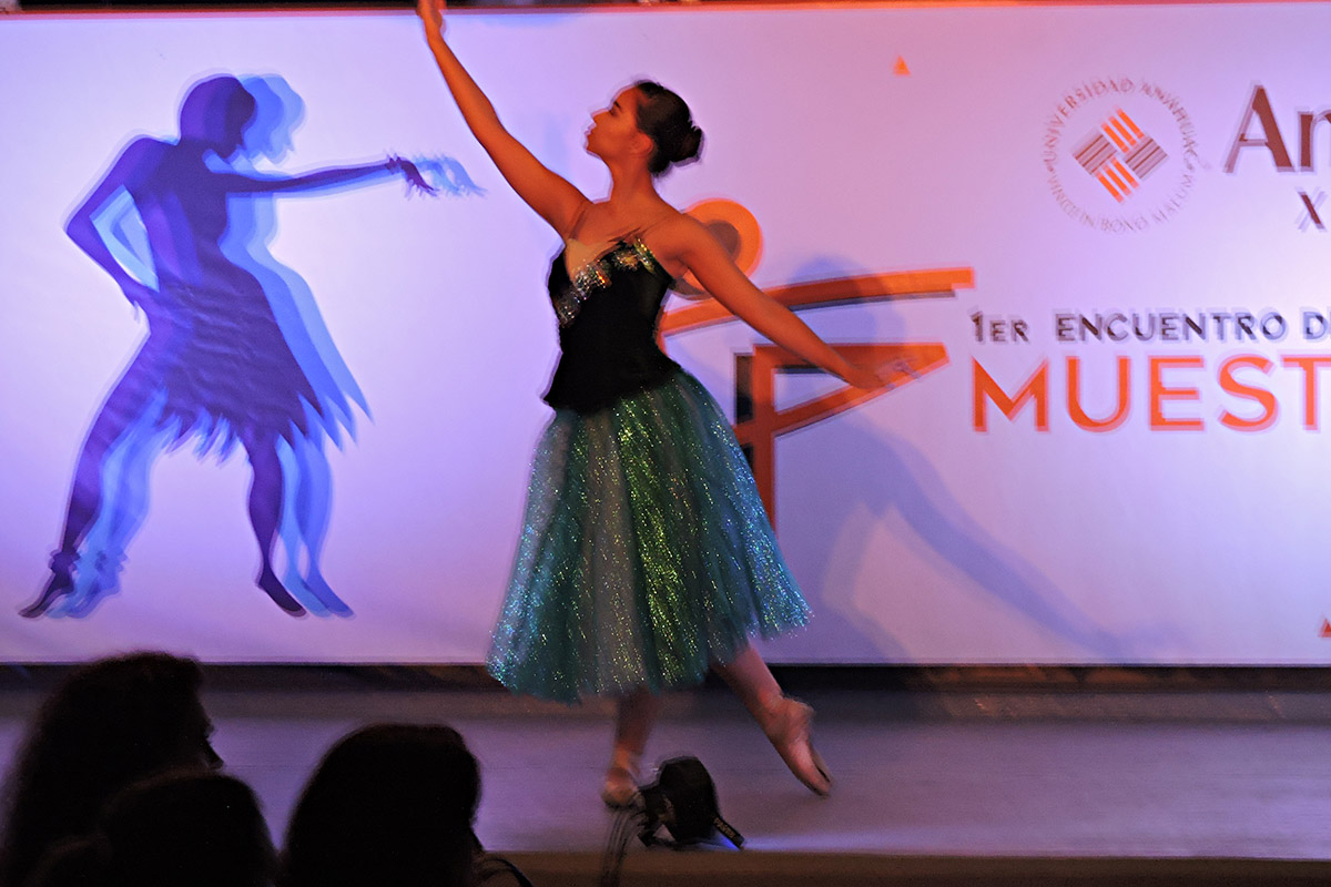 7 / 20 - 1er. Encuentro de Danza Estudiantil Anáhuac 2017
