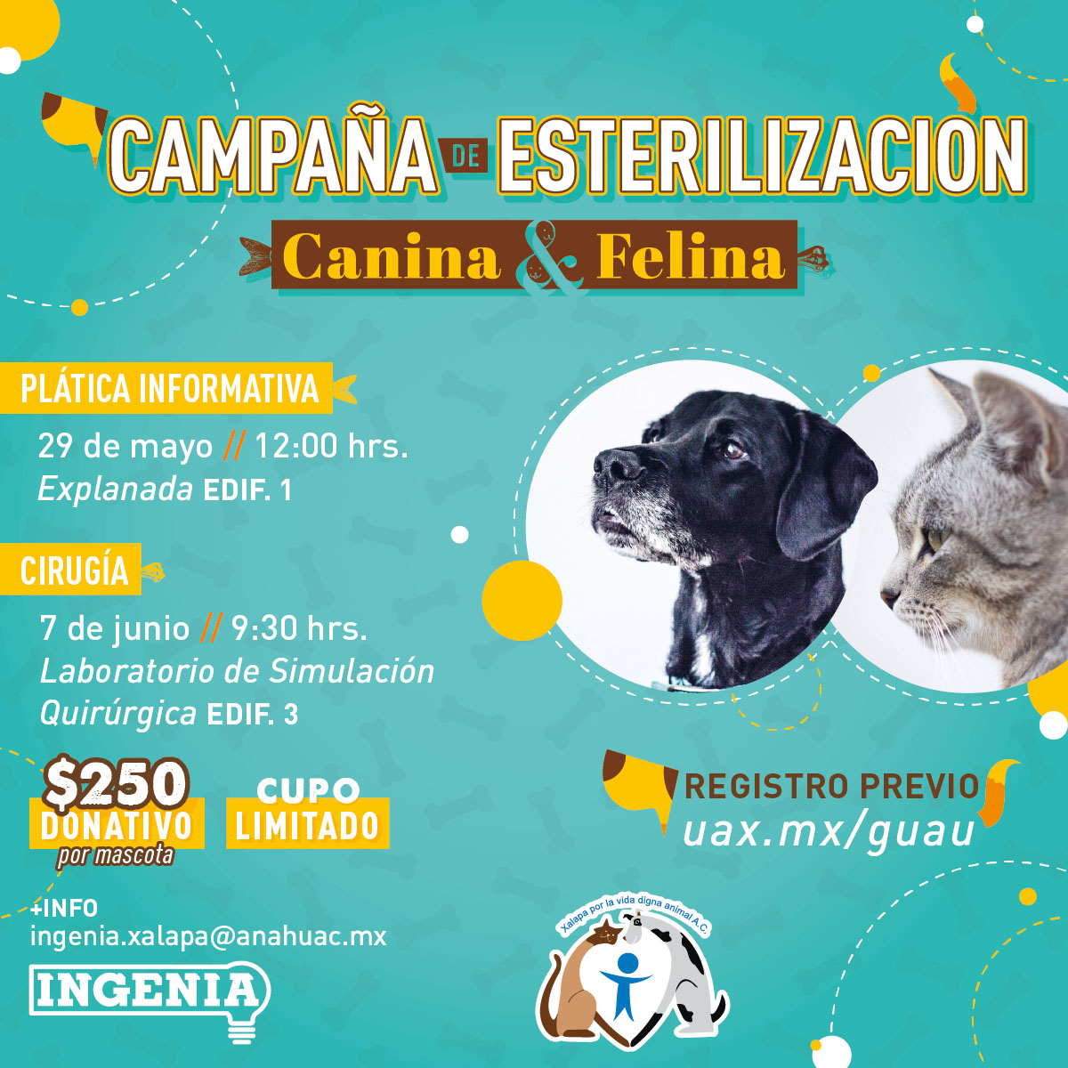 Campaña de Esterilización Canina y Felina