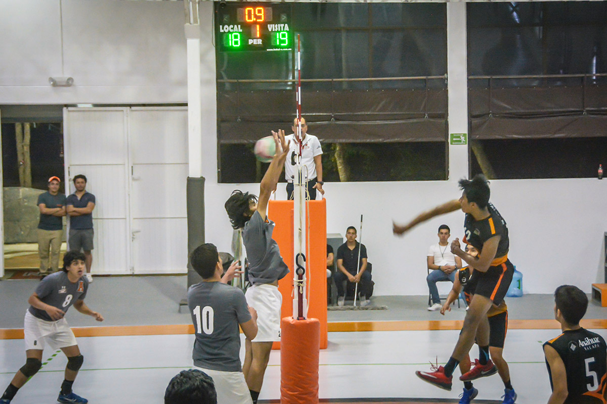 27 / 28 - Debut soñado para los Leones de la Universidad Anáhuac Xalapa