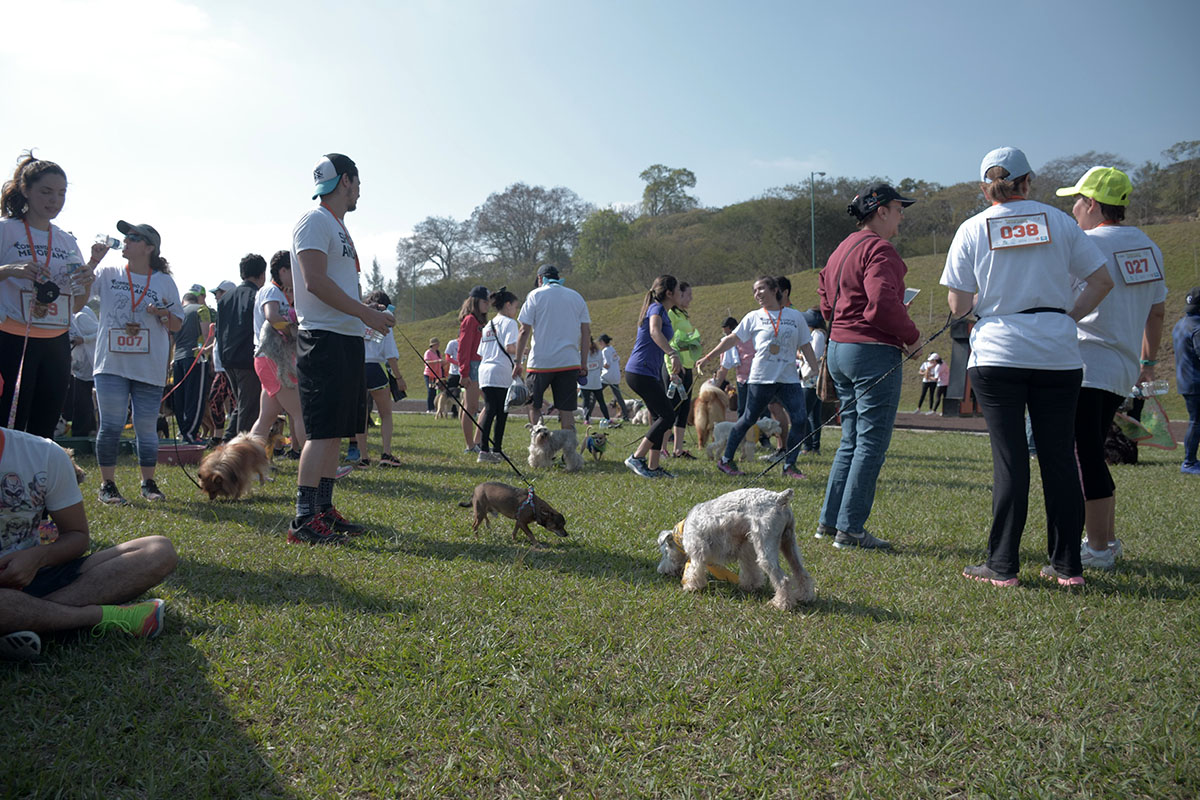 1 / 36 - Corriendo con mi Mejor Amigo: Una Carrera con Causa