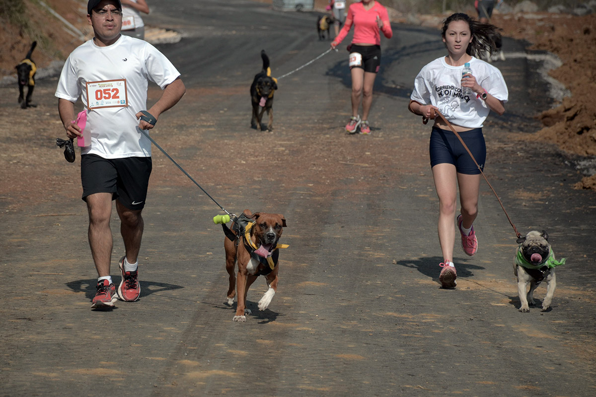 9 / 36 - Corriendo con mi Mejor Amigo: Una Carrera con Causa