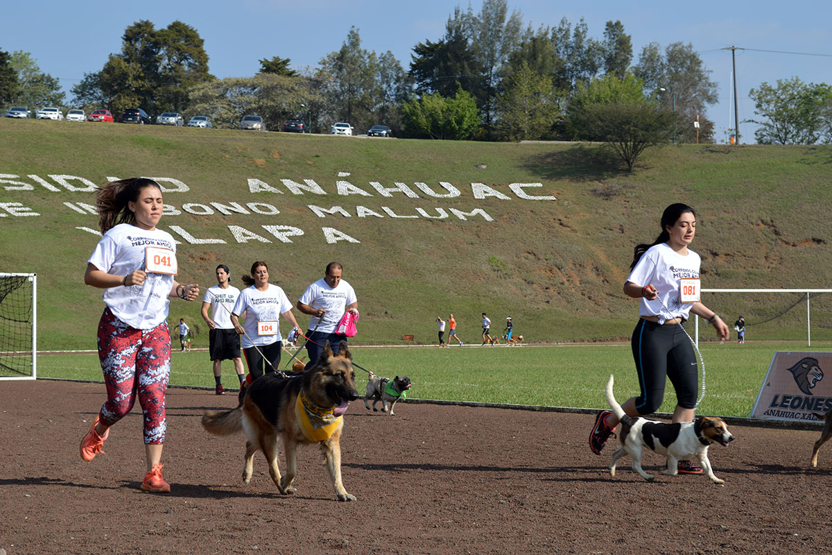 18 / 36 - Corriendo con mi Mejor Amigo: Una Carrera con Causa