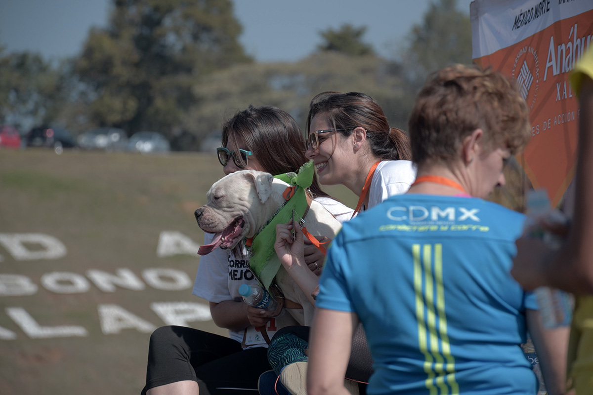 28 / 36 - Corriendo con mi Mejor Amigo: Una Carrera con Causa