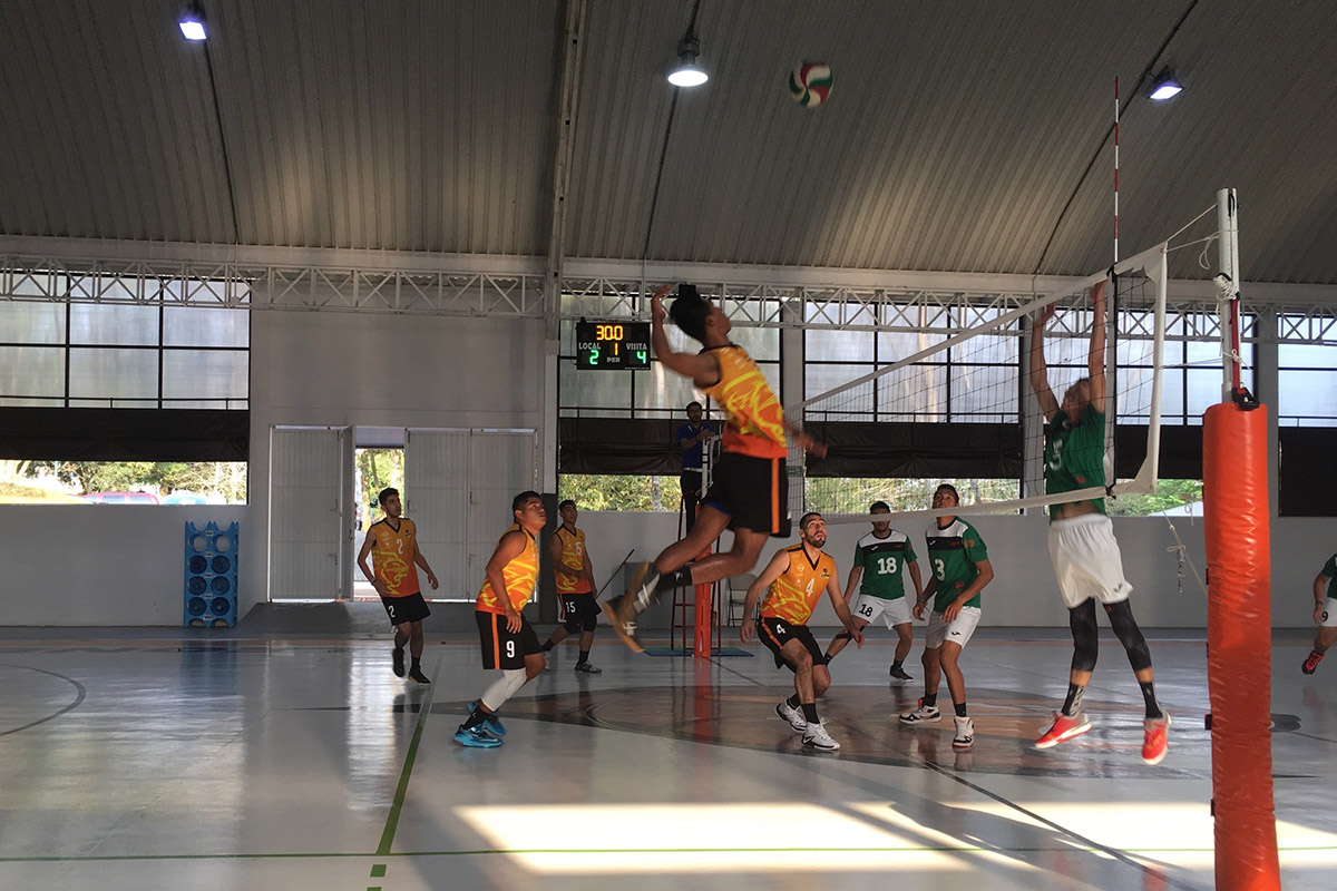 1 / 4 - Leones triunfan en Regional de Voleibol
