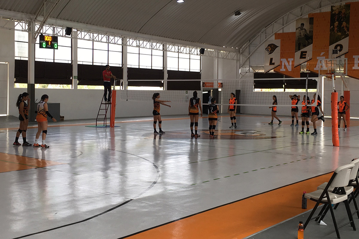 3 / 4 - Leones triunfan en Regional de Voleibol