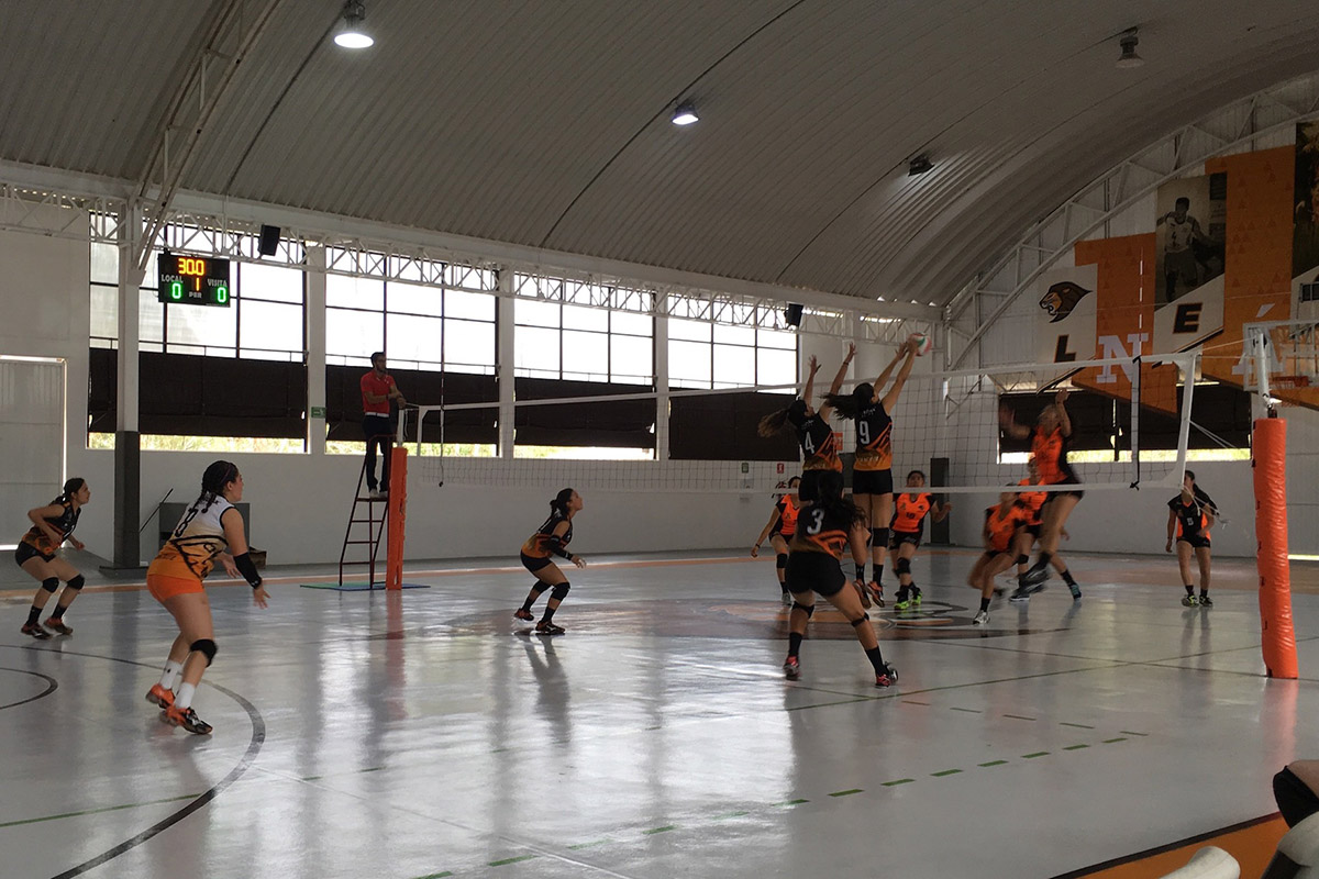 4 / 4 - Leones triunfan en Regional de Voleibol