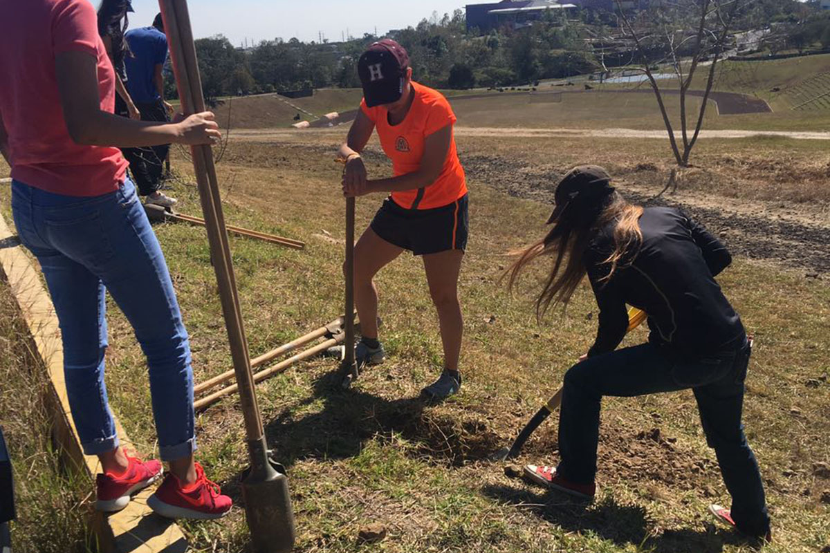 3 / 20 - Actividades de Participación Social