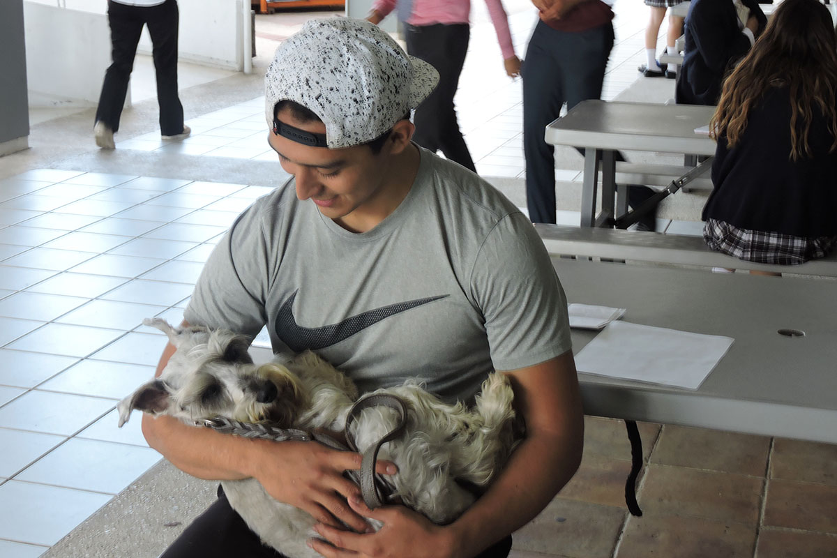 2 / 7 - Grupo Ingenia en pro de la Vida Digna Animal Canina y Felina