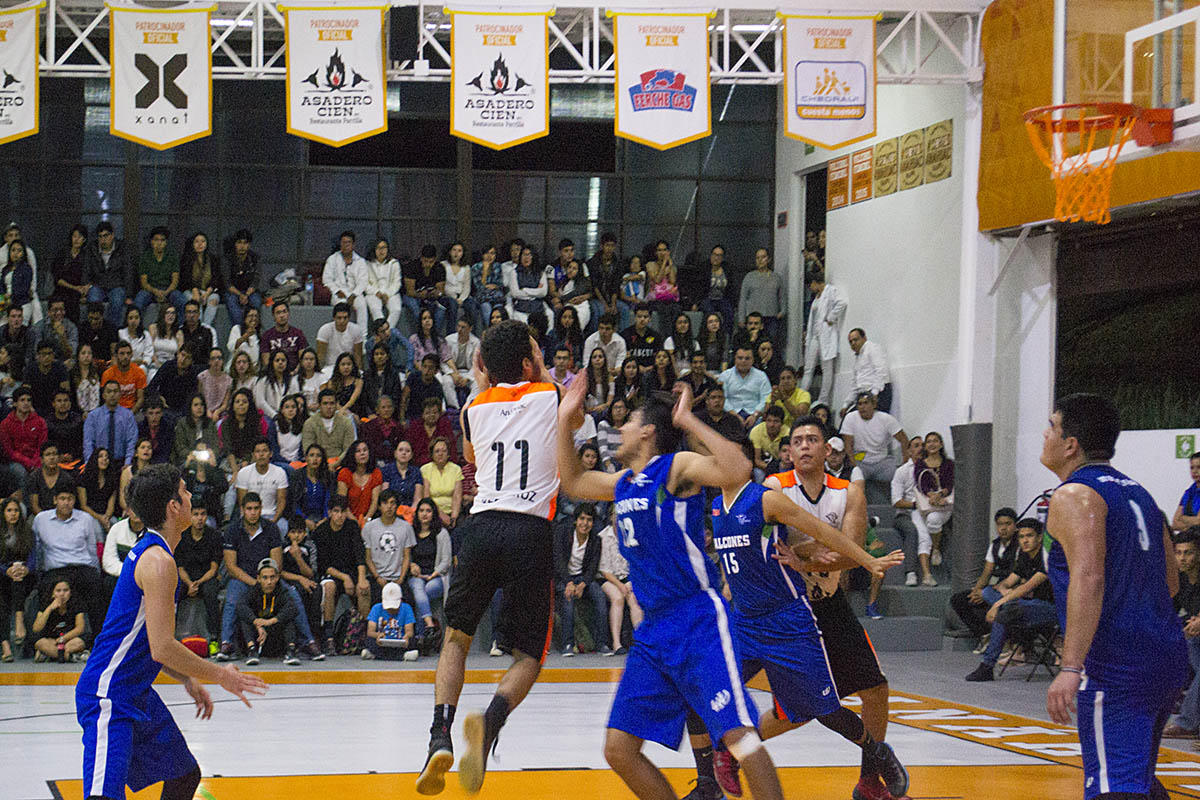 2 / 16 - Leones de Basquetbol arrasan de nuevo contra la UV