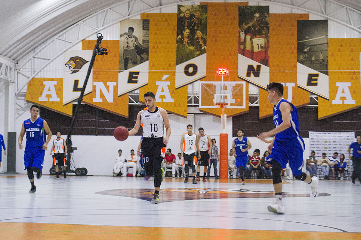 3 / 16 - Leones de Basquetbol arrasan de nuevo contra la UV