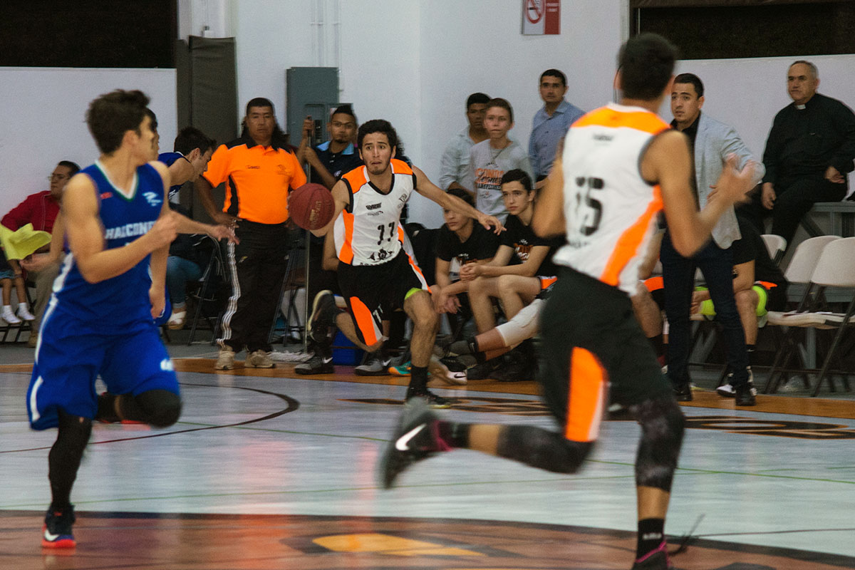 12 / 16 - Leones de Basquetbol arrasan de nuevo contra la UV