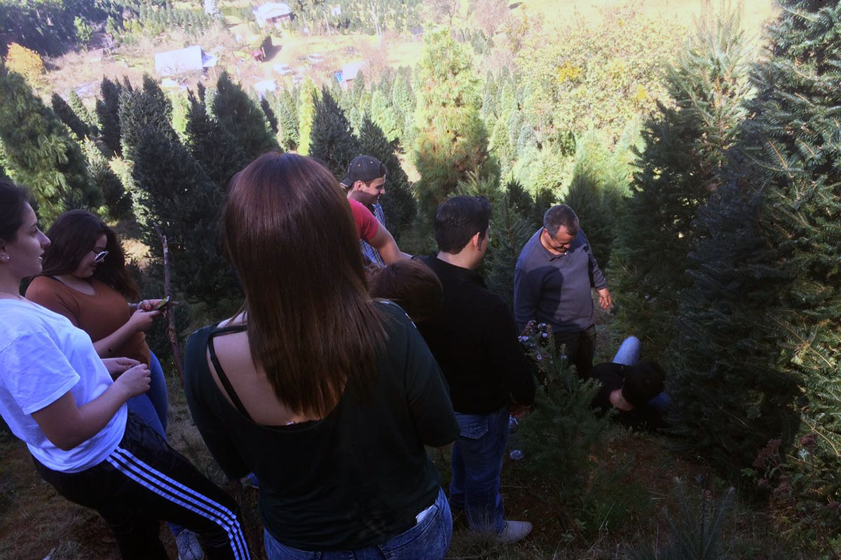 1 / 20 - Navidad 2016 en la Anáhuac Xalapa