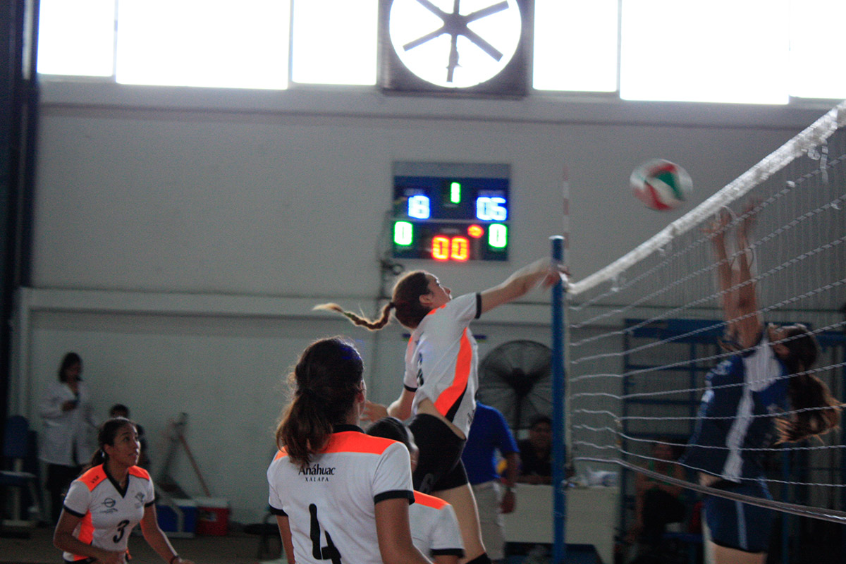 5 / 12 - Actividad deportiva de Voleibol en CONDDE