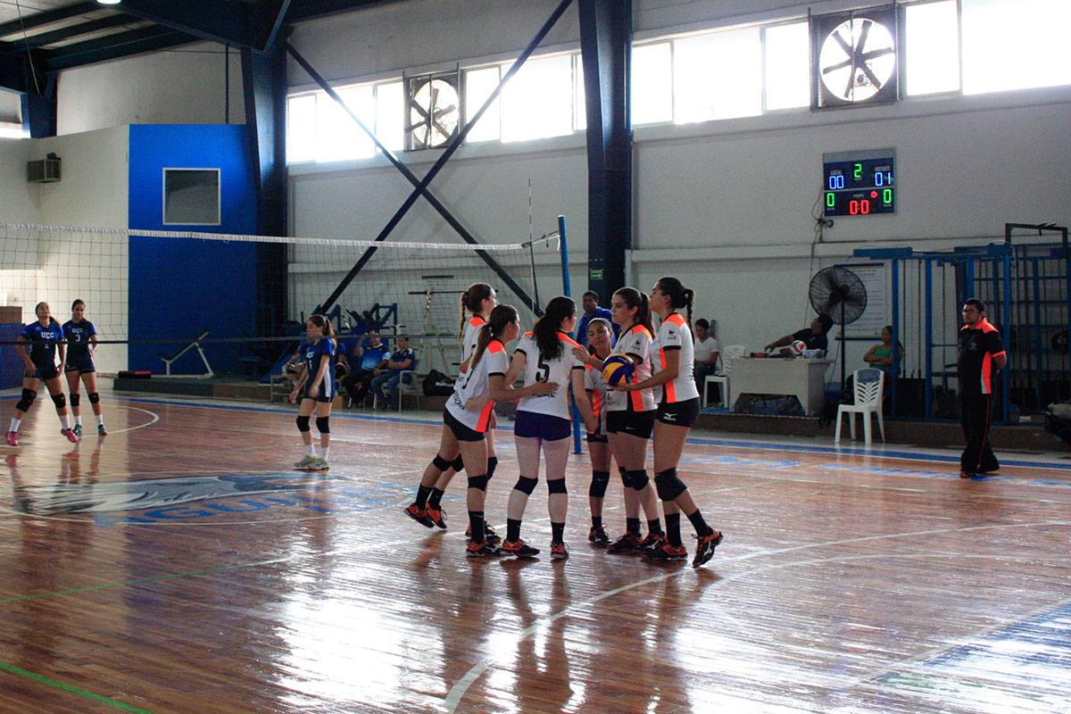 6 / 12 - Actividad deportiva de Voleibol en CONDDE