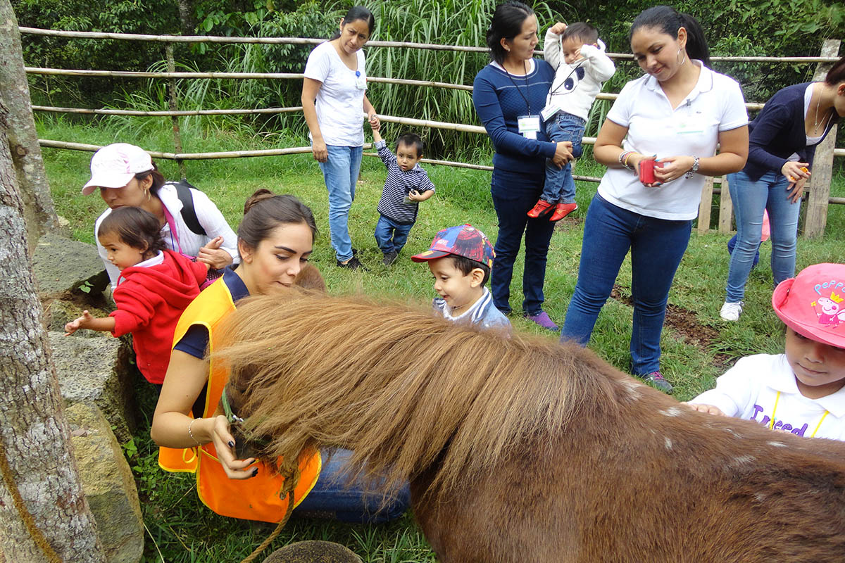 5 / 16 - Servicio Social: Acción positiva por el medio ambiente