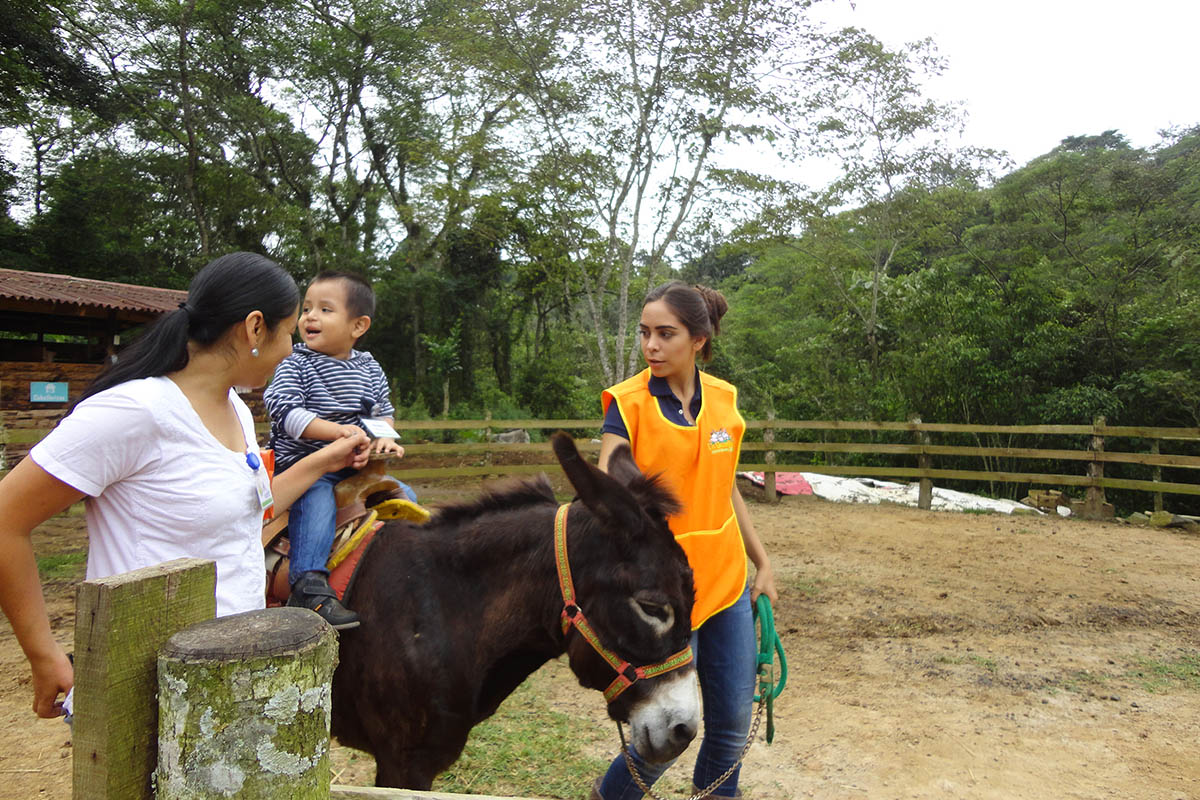 6 / 16 - Servicio Social: Acción positiva por el medio ambiente