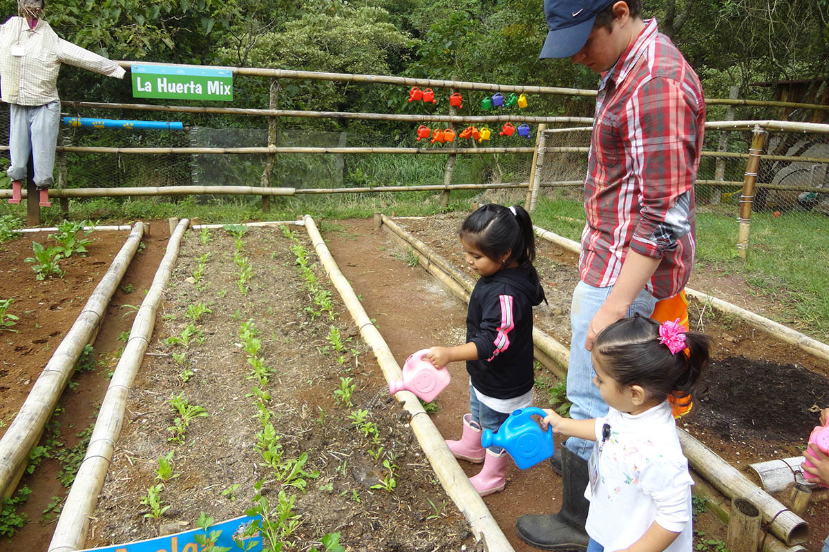 10 / 16 - Servicio Social: Acción positiva por el medio ambiente