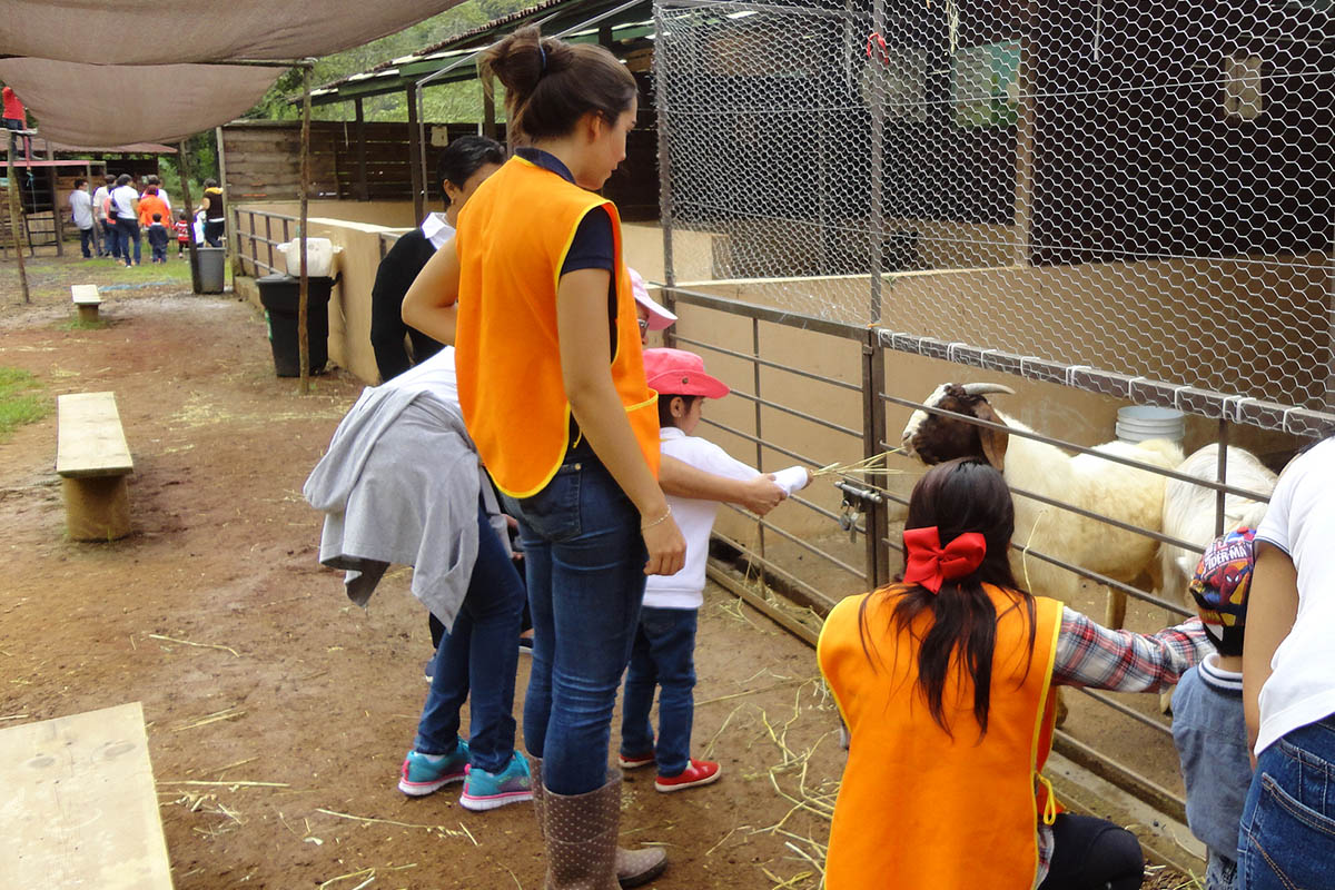 11 / 16 - Servicio Social: Acción positiva por el medio ambiente