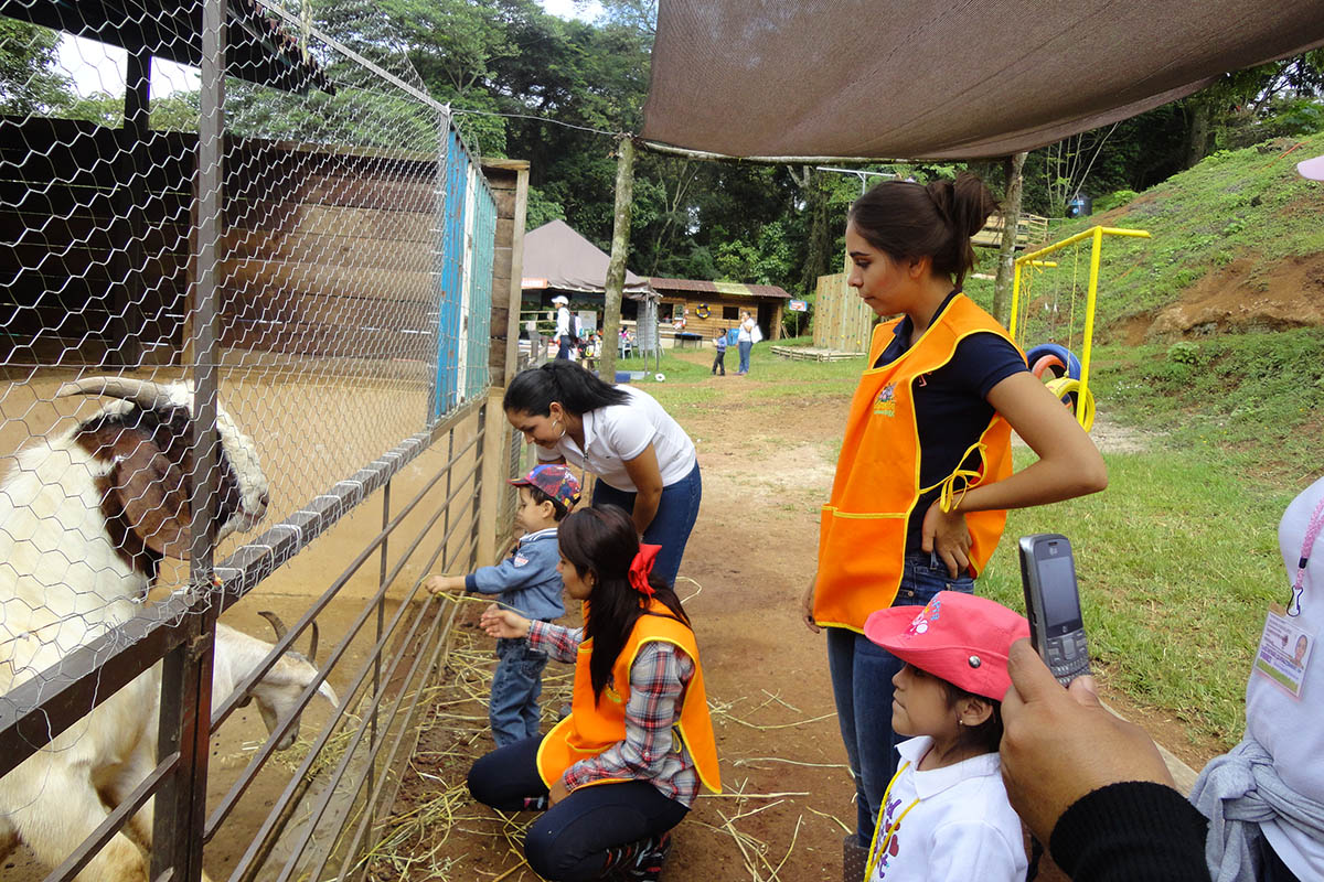 12 / 16 - Servicio Social: Acción positiva por el medio ambiente