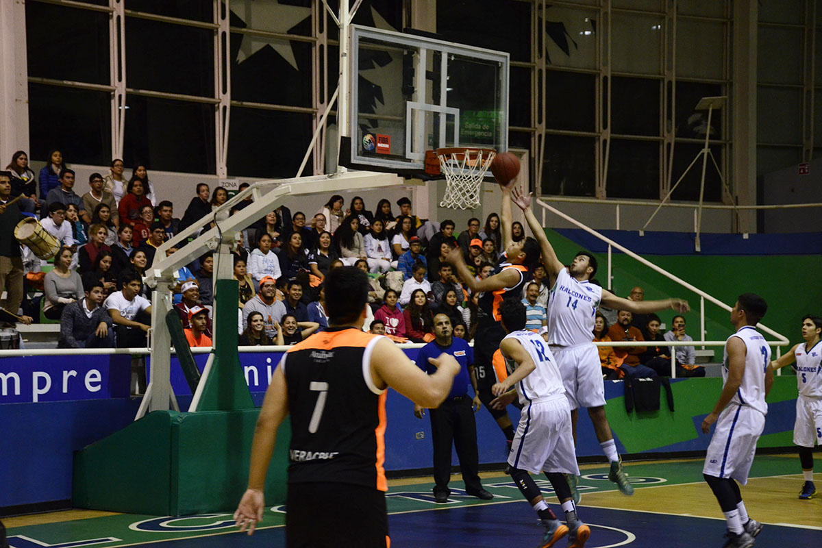 1 / 8 - Leones triunfan sobre los Halcones