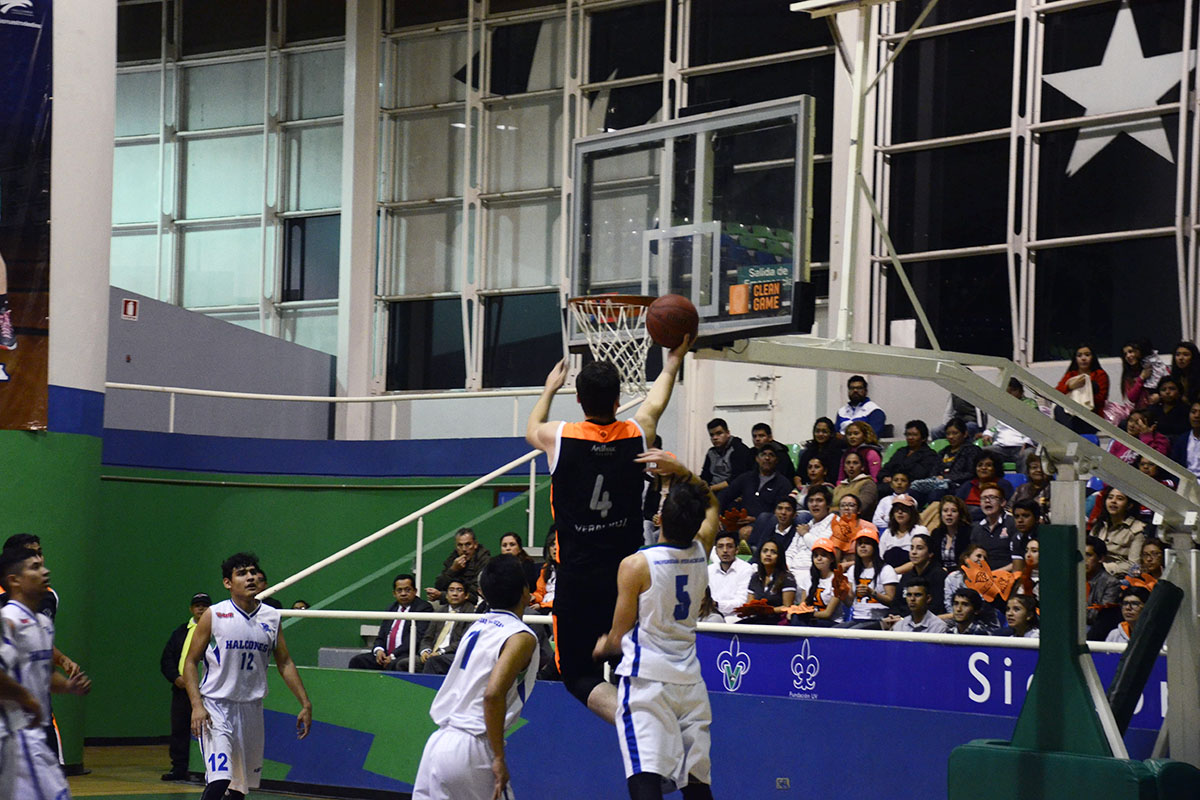 3 / 8 - Leones triunfan sobre los Halcones